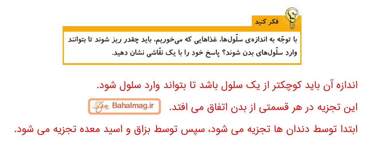جواب صفحه 80 علوم چهارم قسمت سوم