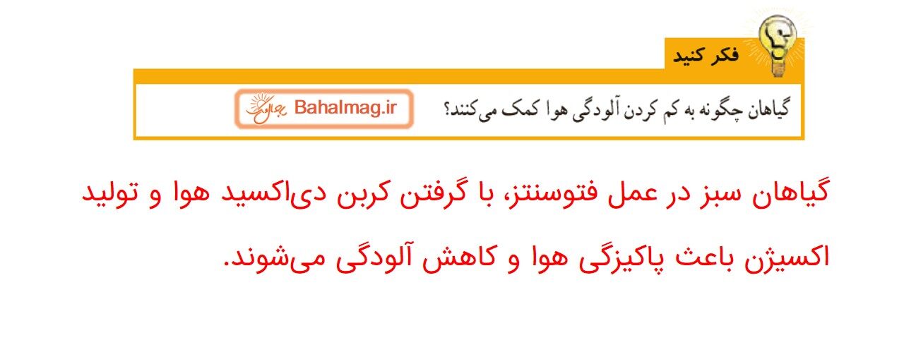 جواب صفحه 82 علوم ششم قسمت چهارم