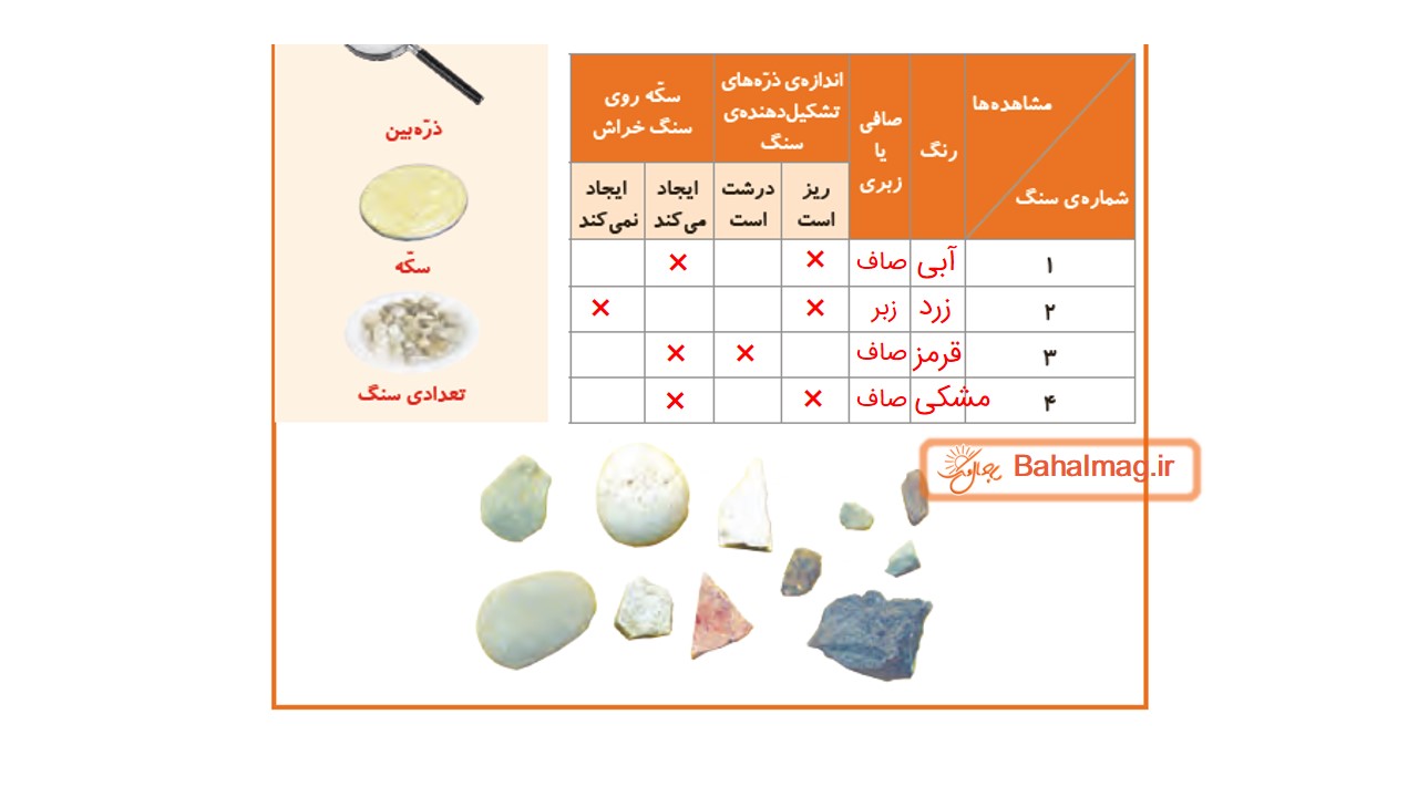جواب صفحه 49 علوم چهارم قسمت دوم