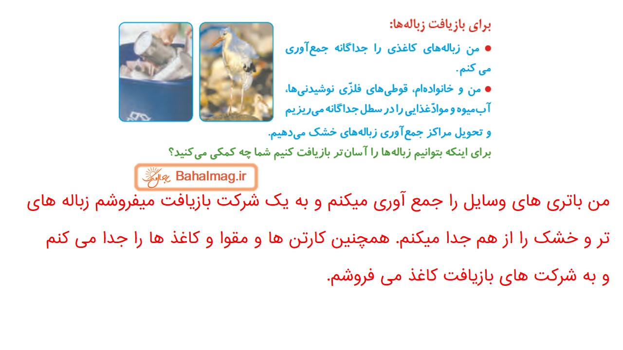 جواب صفحه 66 علوم چهارم قسمت دوم
