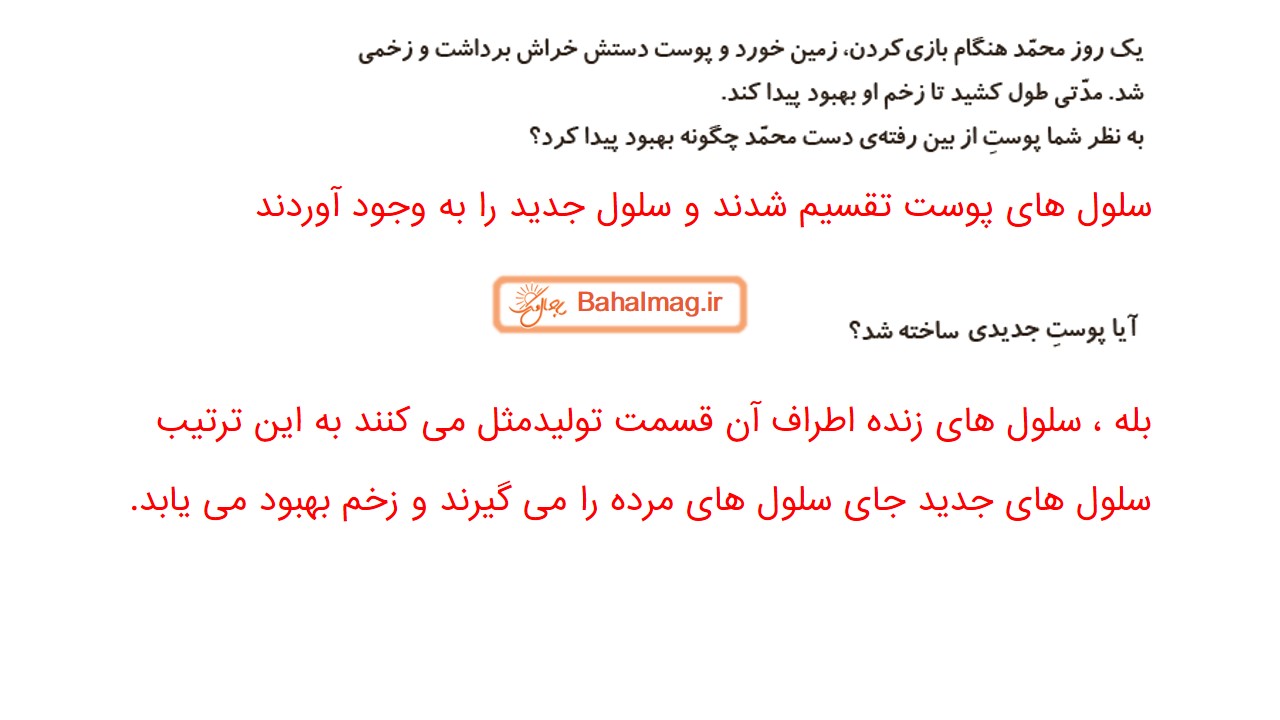جواب صفحه 78 علوم چهارم قسمت اول