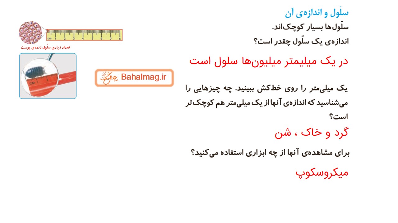 جواب صفحه 78 علوم چهارم قسمت سوم