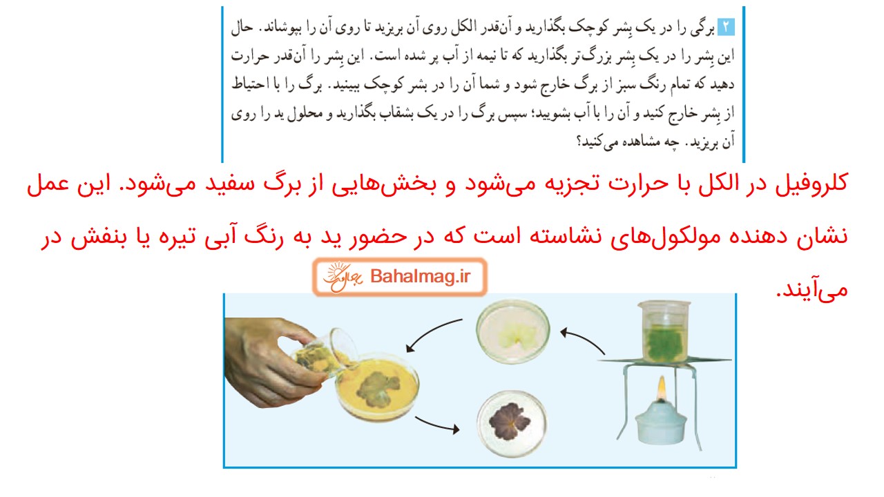 جواب صفحه 80 علوم ششم قسمت دوم
