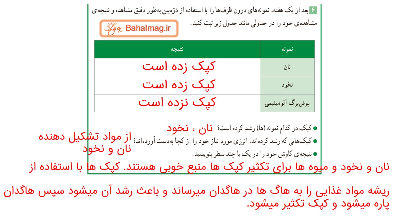 جواب صفحه 86 و 87 علوم ششم قسمت چهارم
