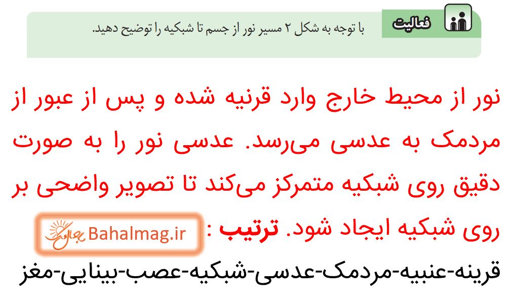 جواب فعالیت صفحه 37 علوم هشتم