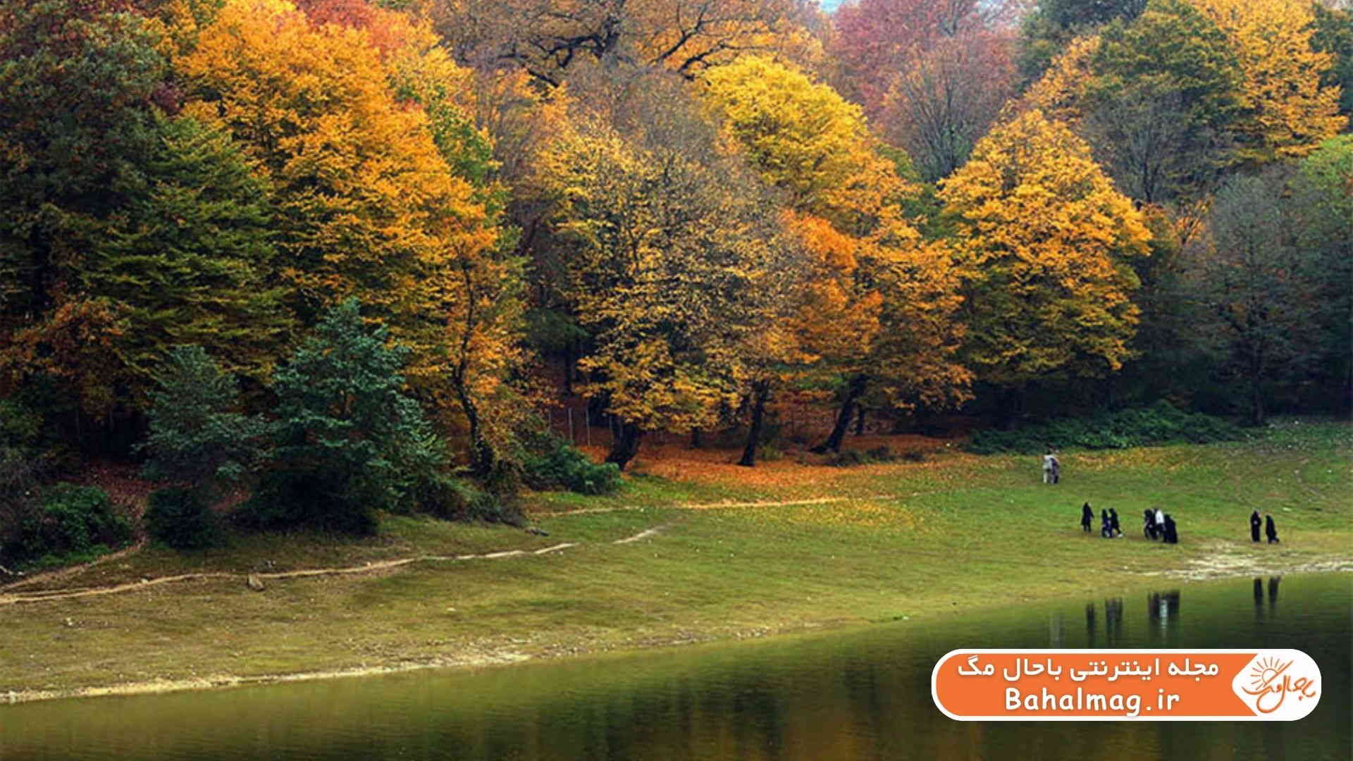 جنگل دیدنی در گرگان
