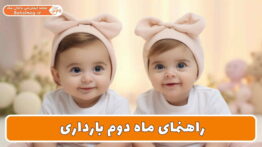 راهنمای ماه دوم بارداری