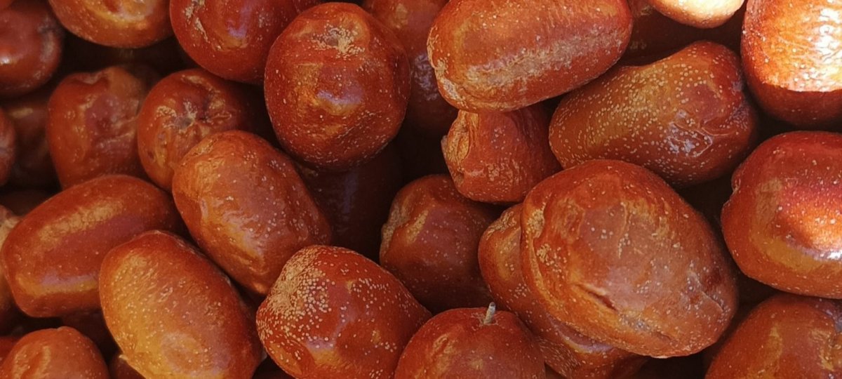 خواص پودر سنجد با ماست