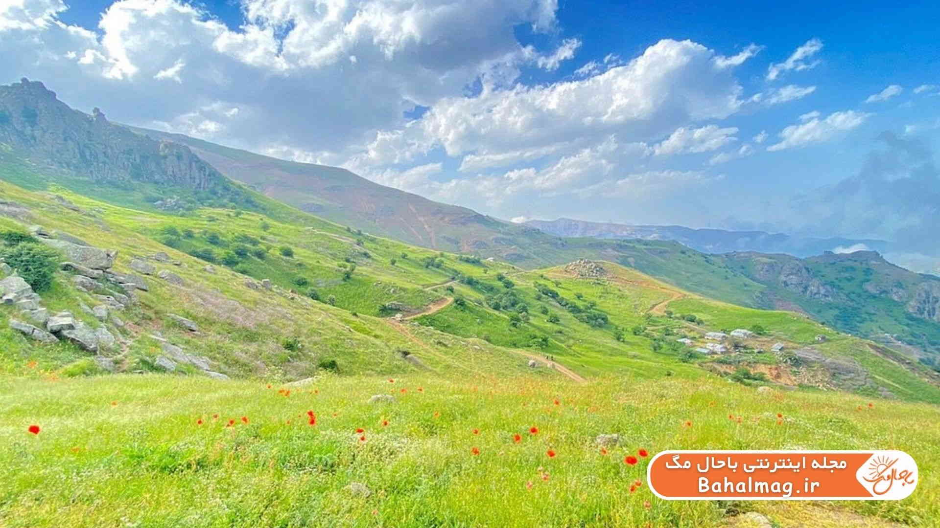 نمایی از تالش