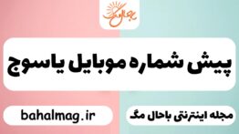 پیش شماره موبایل یاسوج
