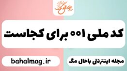 کد ملی ۰۰۱ برای کجاست