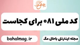 کد ملی ۰۸۱ برای کجاست