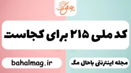 کد ملی ۲۱۵ برای کجاست