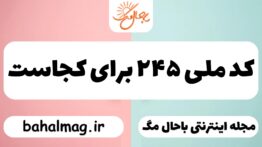 کد ملی ۲۴۵ برای کجاست