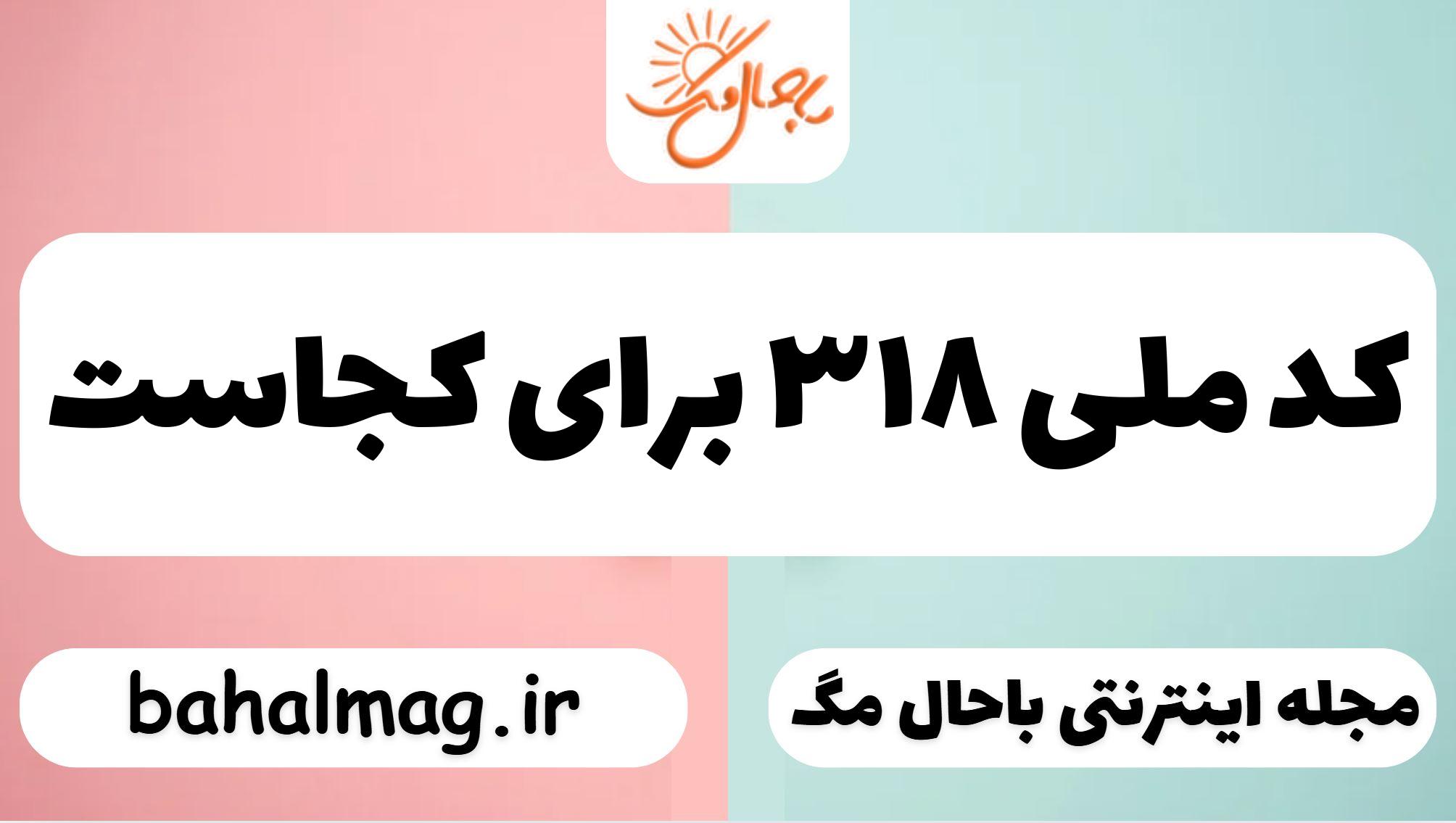 کد ملی ۳۱۸ برای کجاست
