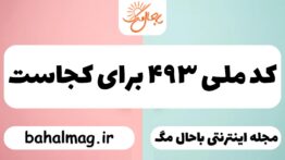 کد ملی ۴۹۳ برای کجاست