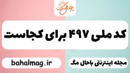کد ملی ۴۹۷ برای کجاست
