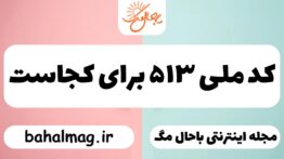 کد ملی ۵۱۳ برای کجاست