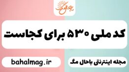 کد ملی ۵۳۰ برای کجاست