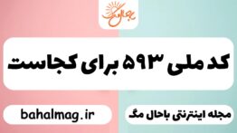 کد ملی ۵۹۳ برای کجاست