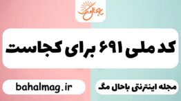 کد ملی ۶۹۱ برای کجاست