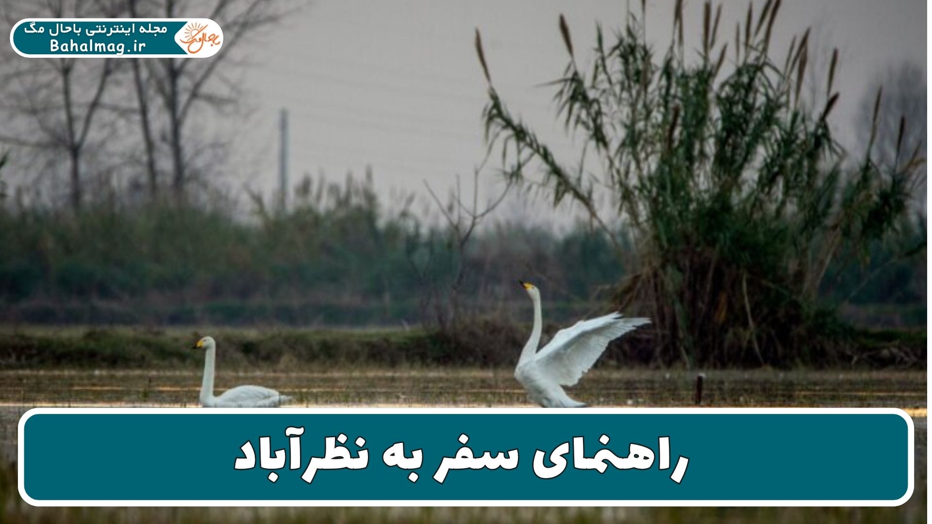 راهنمای سفر به نظرآباد