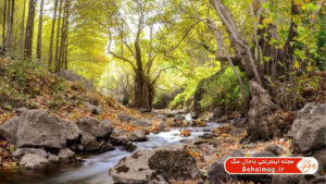 سراب فارسبان