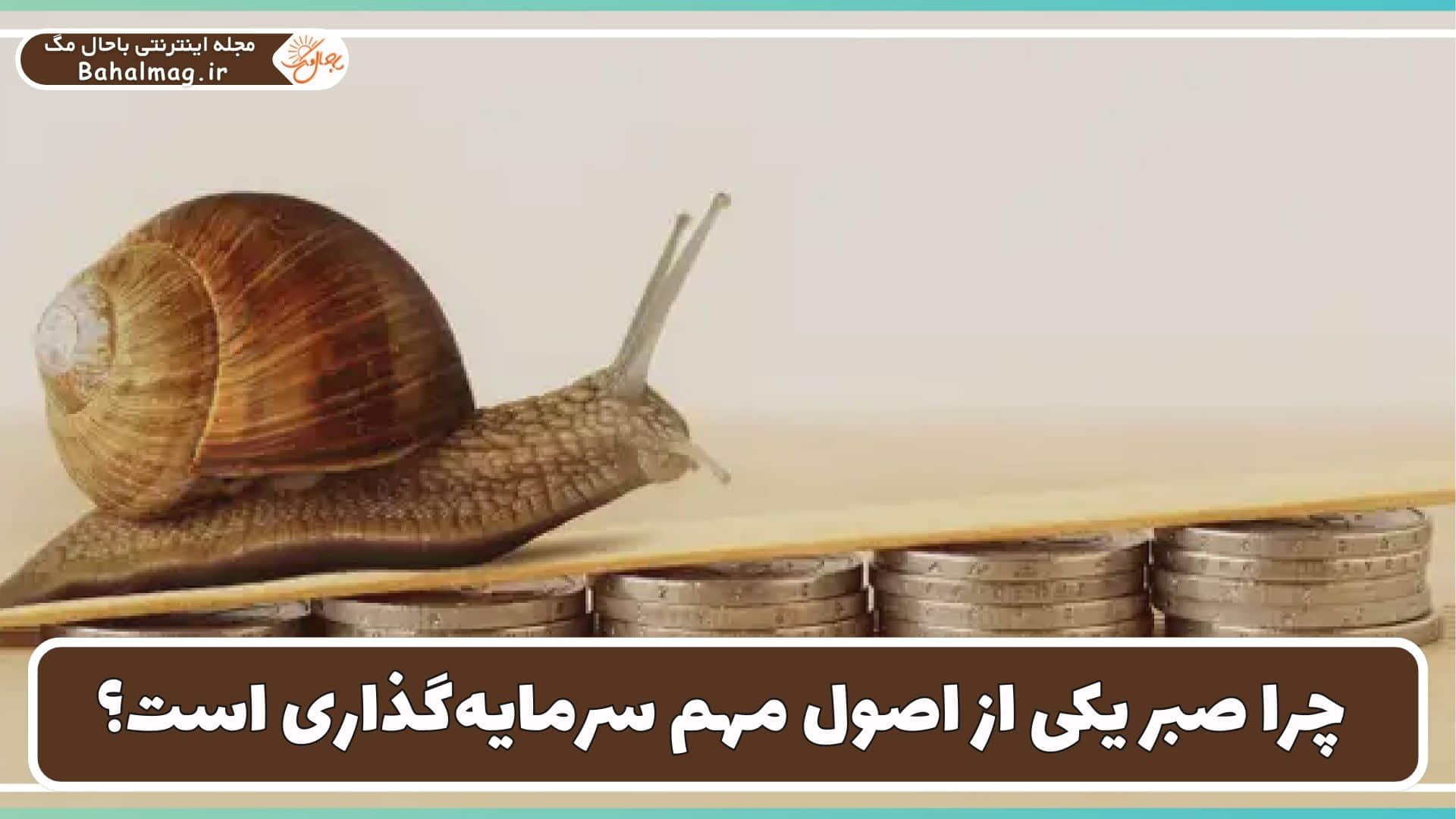 تاثیر صبر در سرمایهگذاری