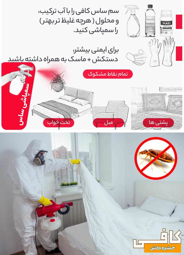روش صحیح سمپاشی ساس منزل