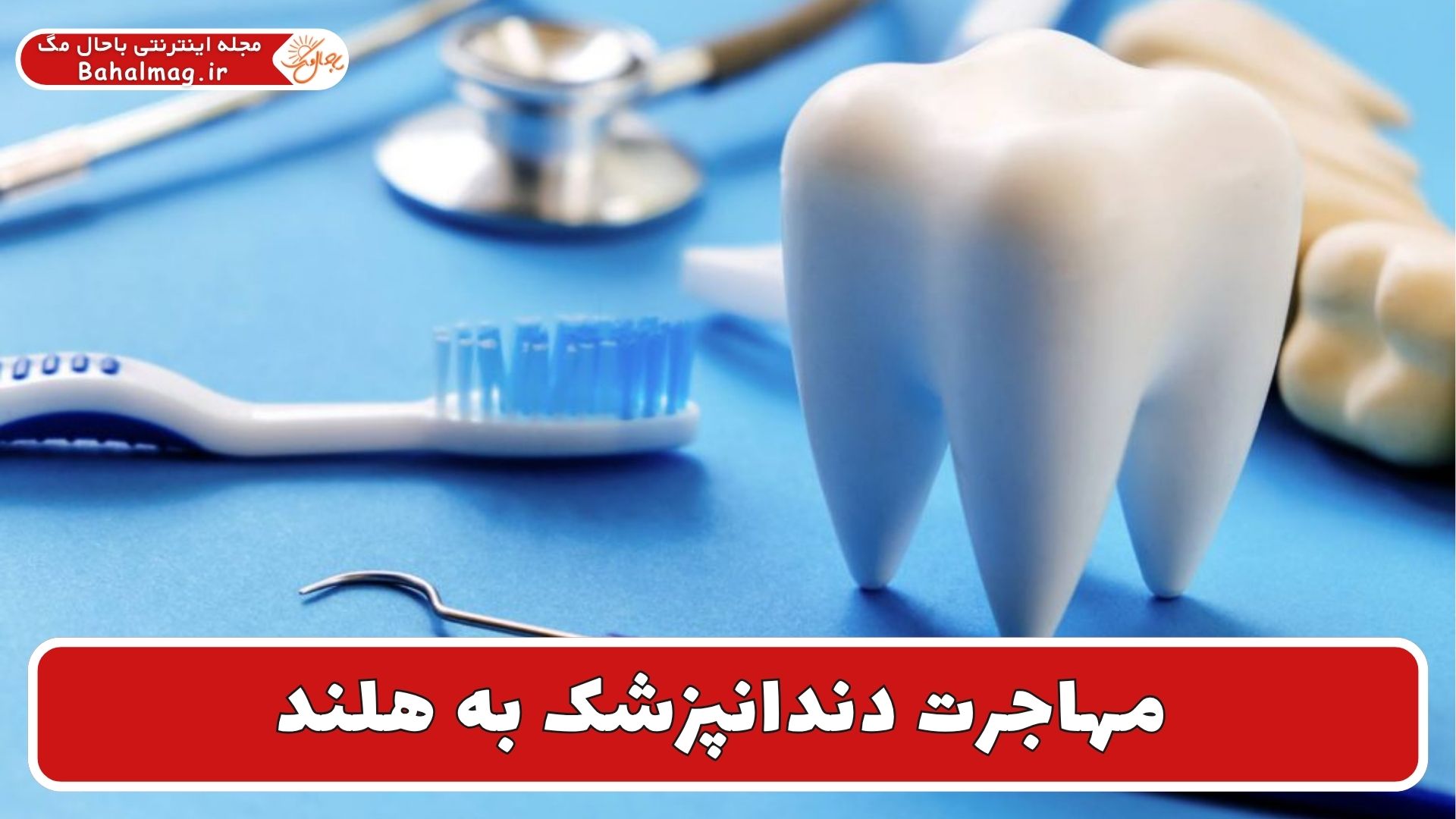 مهاجرت دندانپزشک به هلند