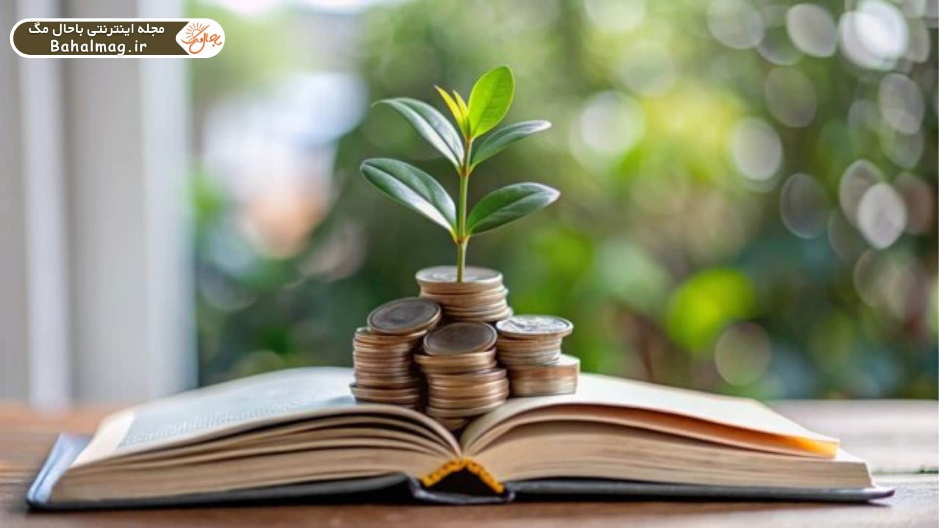 کتاب_های برتر سرمایه گذاری_ در دنیا