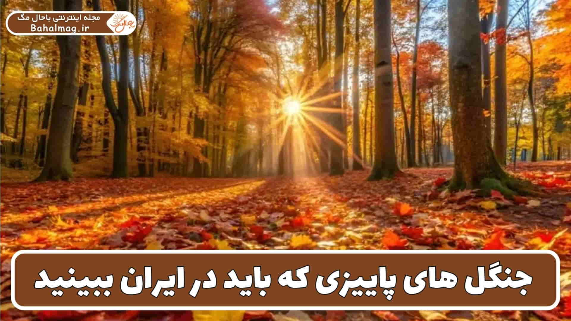 جنگل های پاییزی ایران