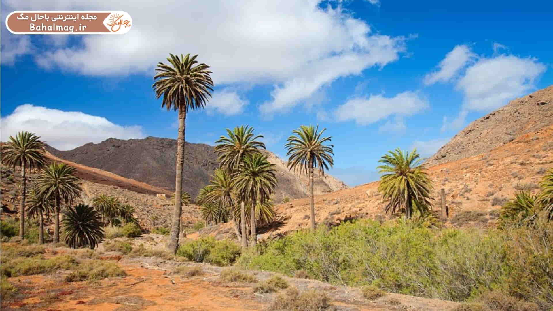 طبیعت جنوب ایران؛ جاذبههای گردشگری هرمزگان