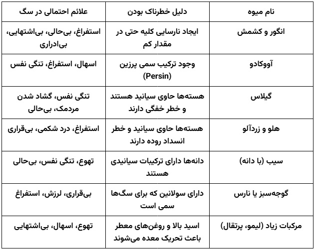 میوه های ممنوعه برای سگ خانگی