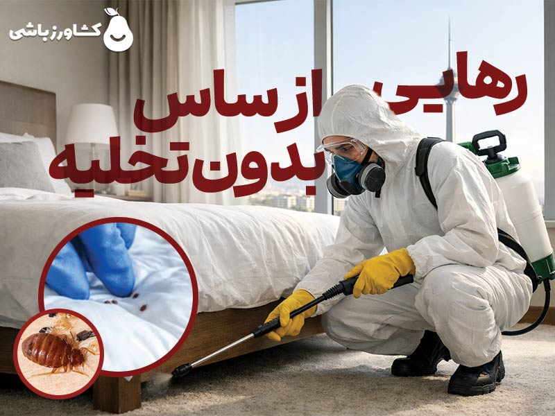 بدون تخلیه منزل از شر ساس خلاص شوید