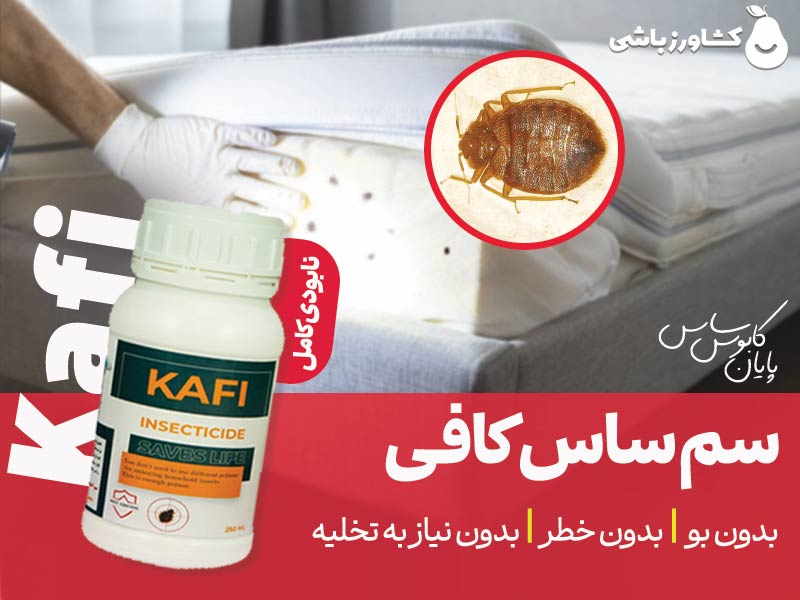 سم ساس کافی Kafi