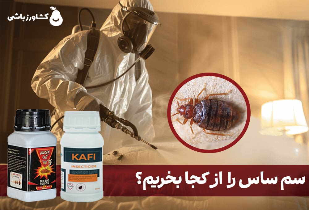 سم ساس از کجا بخریم؟ + معرفی قوی ترین سموم مخصوص ساس