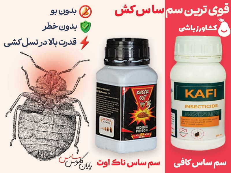 قوی ترین سم ساس کش بازار