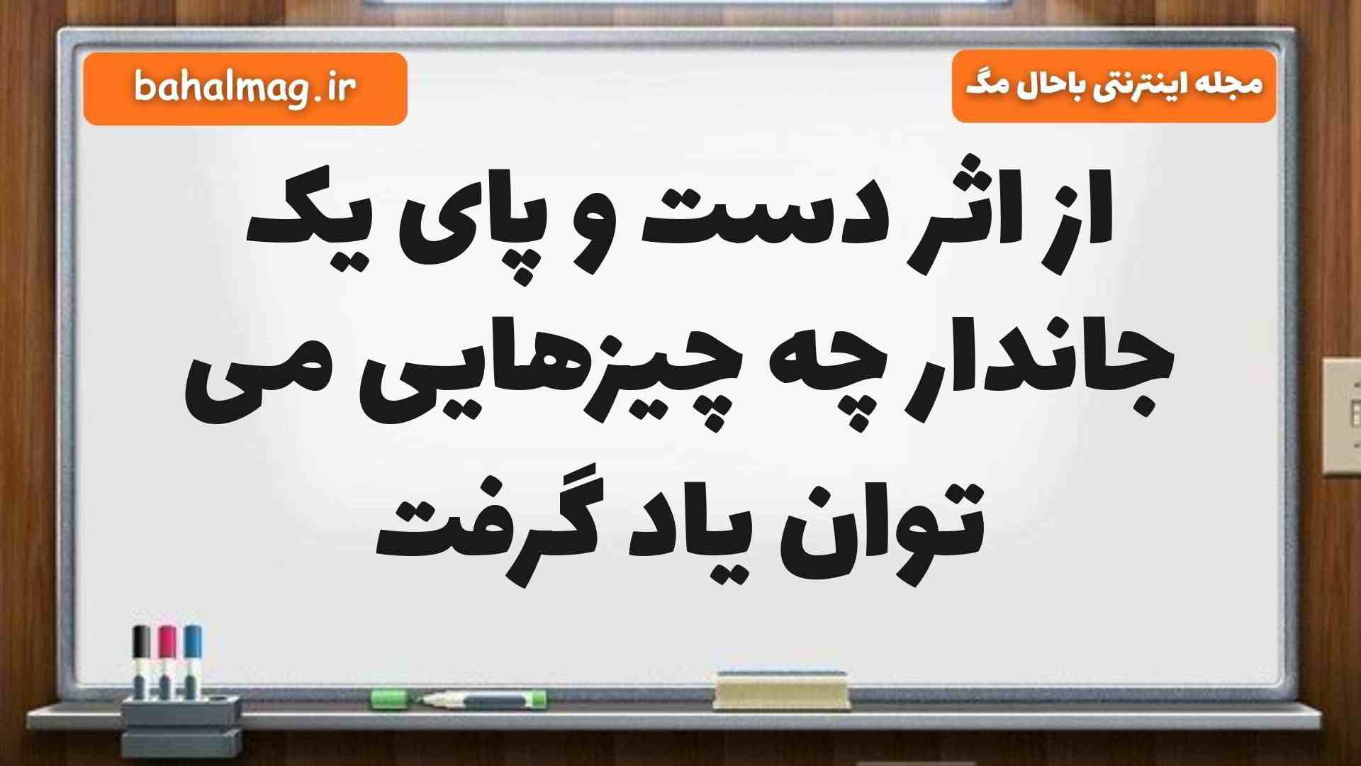از اثر دست و پای یک جاندار چه چیزهایی می توان یاد گرفت علوم پنجم