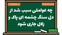 چه عواملی سبب شد از دل سنگ چشمه ای پاک و زلال جاری شود فارسی هشتم