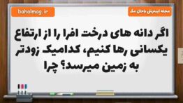 اگر دانه های درخت افرا را از ارتفاع یکسانی رها کنیم، کدامیک زودتر به زمین میرسد چرا