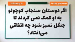 اگر دوستان سنجاب کوچولو به او کمک نمی کردند تا جنگل تمیز شود چه اتفاقی می‌افتاد هدیه دوم