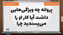 پروانه چه ویژگی‌هایی داشت آیا کار او را می‌پسندید چرا فارسی پنجم (پاسخ کامل)