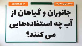 جانوران و گیاهان از آب چه استفاده‌هایی می کنند