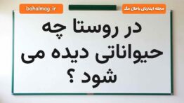 در روستا چه حیواناتی دیده می شود