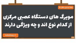 مویرگ های دستگاه عصبی مرکزی از کدام نوع اند و چه ویژگی دارند زیست یازدهم