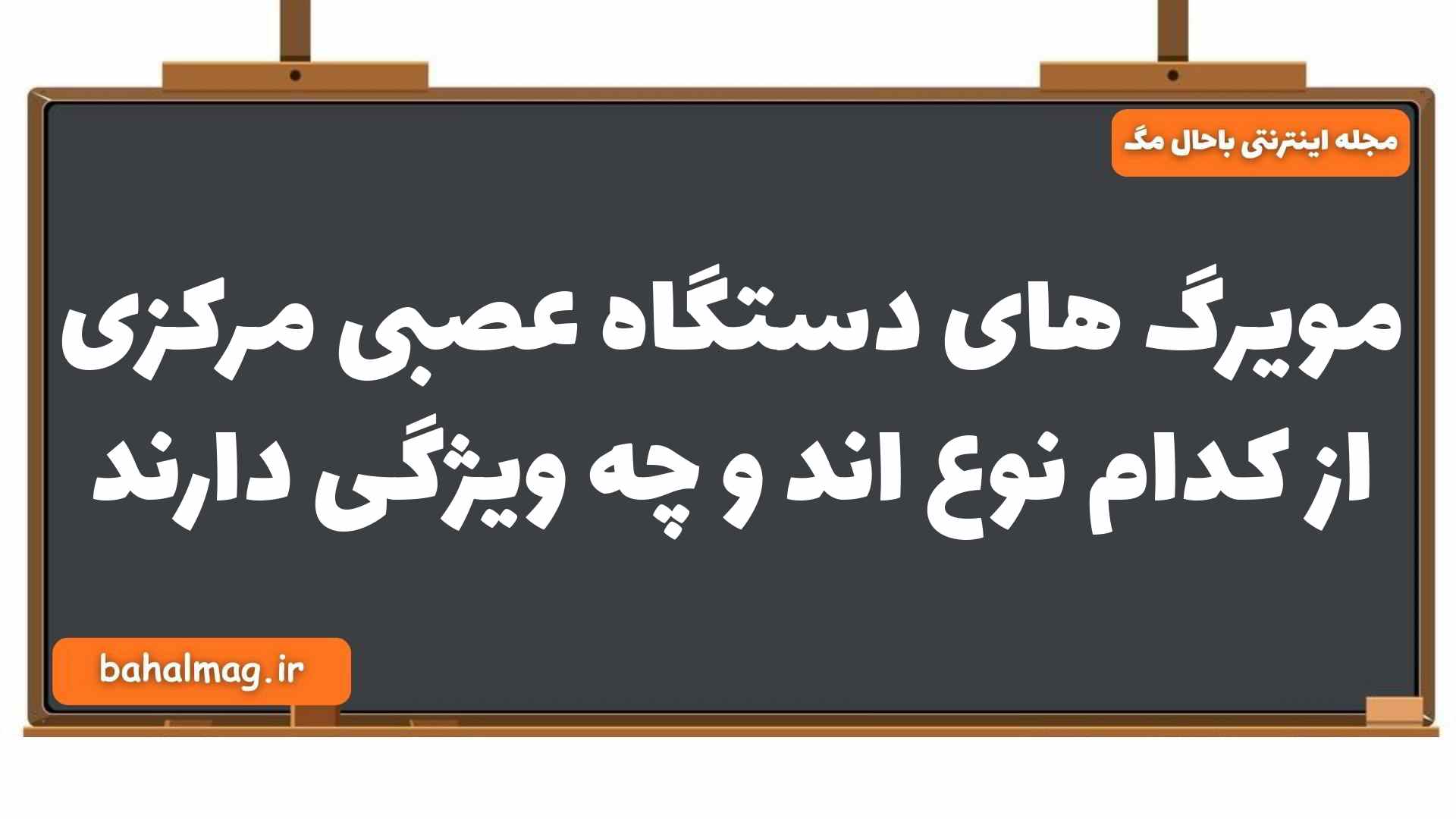 مویرگ های دستگاه عصبی مرکزی از کدام نوع اند و چه ویژگی دارند زیست یازدهم