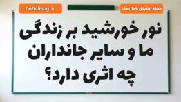 نور خورشید بر زندگی ما و سایر جانداران چه اثری دارد علوم دوم