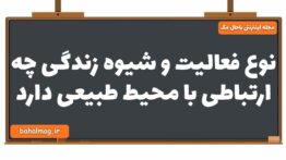 نوع فعالیت و شیوه زندگی چه ارتباطی با محیط طبیعی دارد