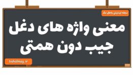 معنی واژه های دغل جیب دون همتی